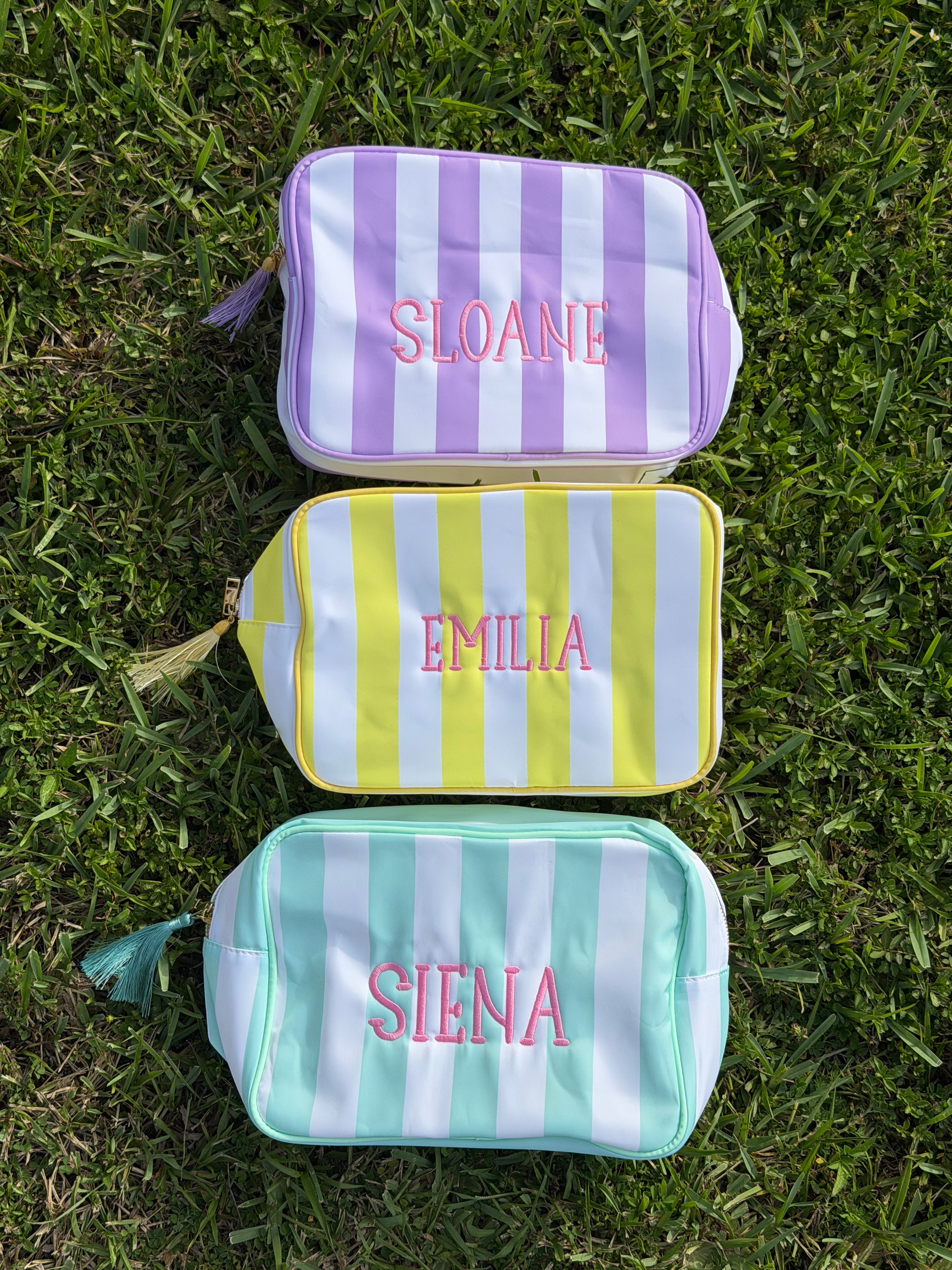 BIG stripe pouch